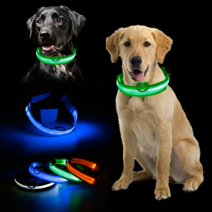 Hot Sale Flashing Glowing Gem Light LED Supplies Products Dog Light Pet Dog Collar