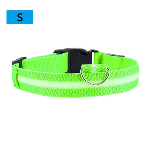 Hot Sale Flashing Glowing Gem Light LED Supplies Products Dog Light Pet Dog Collar