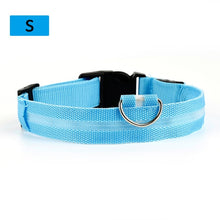 Load image into Gallery viewer, Hot Sale Flashing Glowing Gem Light LED Supplies Products Dog Light Pet Dog Collar
