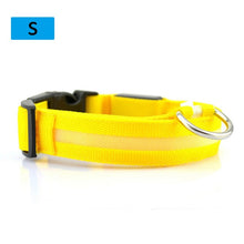 Load image into Gallery viewer, Hot Sale Flashing Glowing Gem Light LED Supplies Products Dog Light Pet Dog Collar
