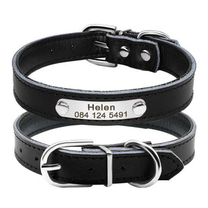 Leather Dog Collar Inner Padded Custom Personalized Dog Collars