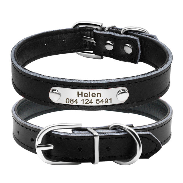 Leather Dog Collar Inner Padded Custom Personalized Dog Collars
