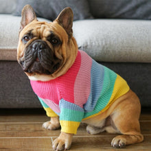 Load image into Gallery viewer, Rainbow Sweater for Dogs
