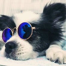 Load image into Gallery viewer, Lovely Pet Dog Glasses Multicolor For Pet
