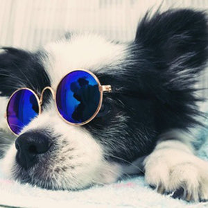 Lovely Pet Dog Glasses Multicolor For Pet