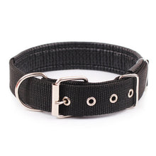 Load image into Gallery viewer, Solid Dog Collars  Nylon Dog Collar
