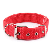Load image into Gallery viewer, Solid Dog Collars  Nylon Dog Collar
