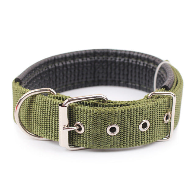 Solid Dog Collars  Nylon Dog Collar