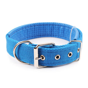 Solid Dog Collars  Nylon Dog Collar