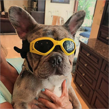 Load image into Gallery viewer, Swimming Glasses Dog
